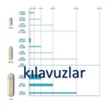 kılavuzlar